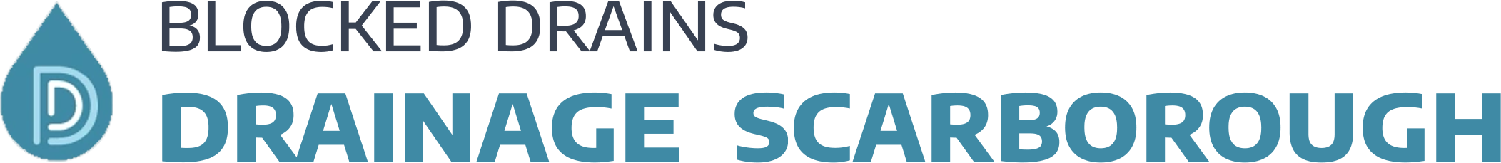 website logo